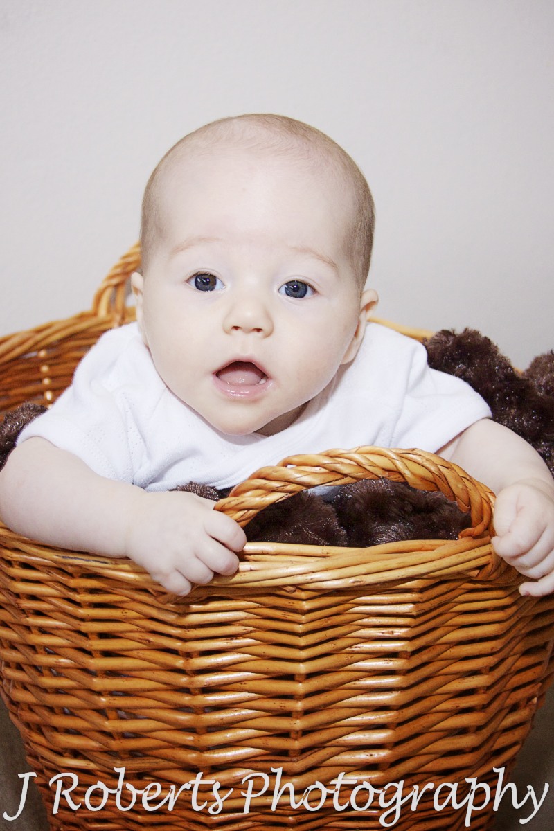 Baby girl looking over the edge of a basket - baby portrait photography sydney